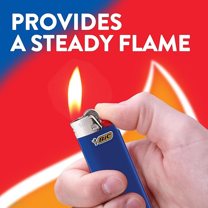 bic-clasic6