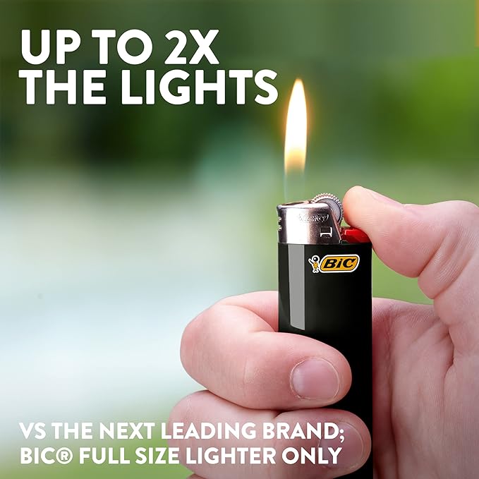 bic-max5